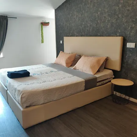 Estudio Campanha Porto