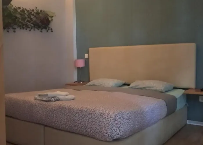 Estudio Campanha Porto